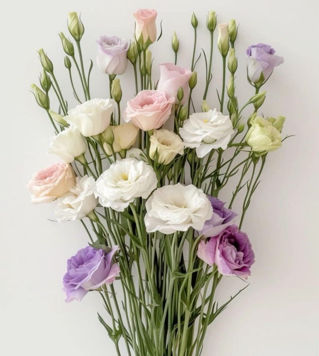 Lisianthus — Single Pot (Flowering Plant)