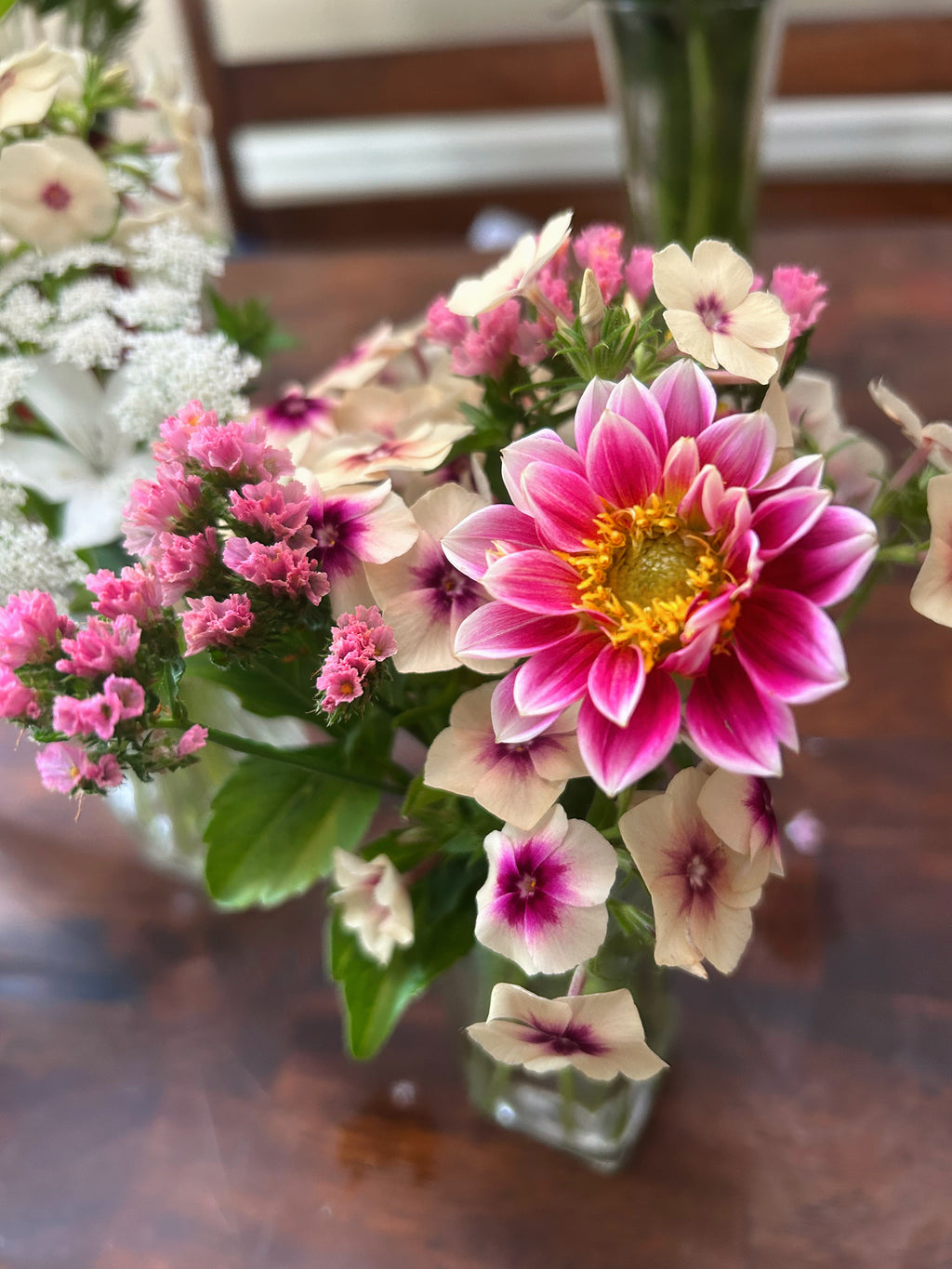 Pollinator Blend Dahlia Seeds