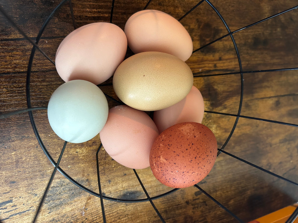 Farm Fresh eggs