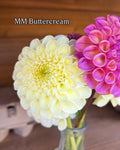 MM Buttercream
