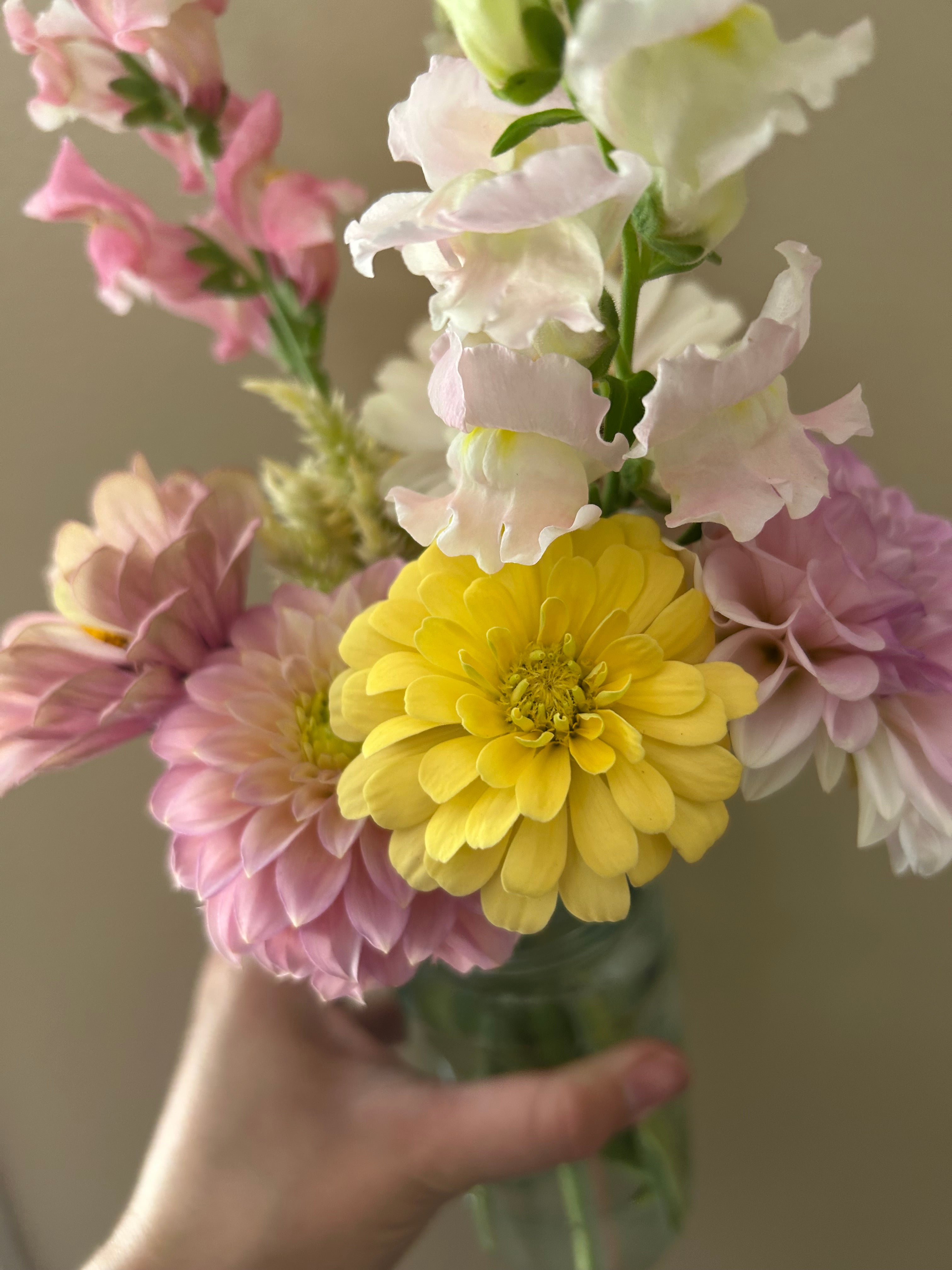 Everyday Bouquet