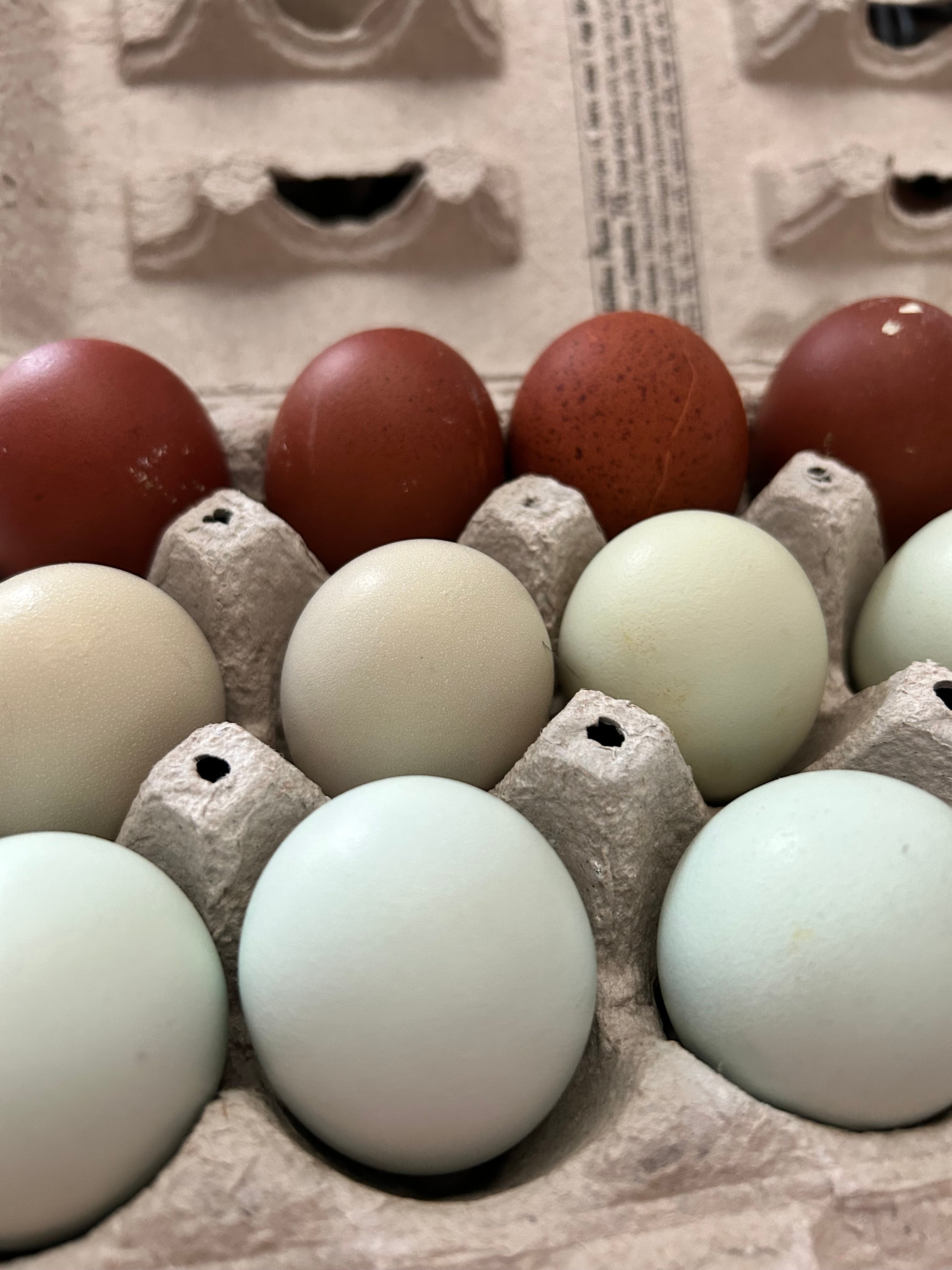 Farm Fresh eggs