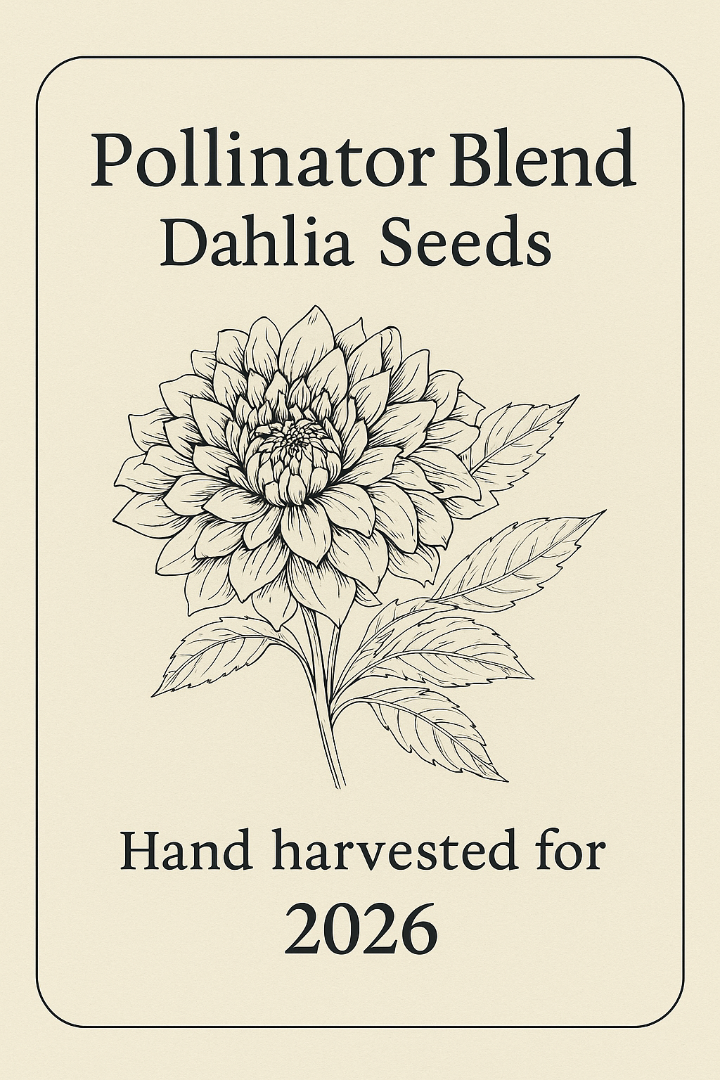 Pollinator Blend Dahlia Seeds