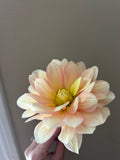 Daydreamer *limited availability*