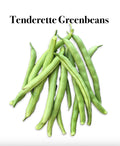 Tenderette Green Beans — Single Pot (Vegetable Plant)
