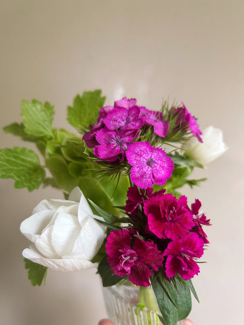 Everyday Bouquet