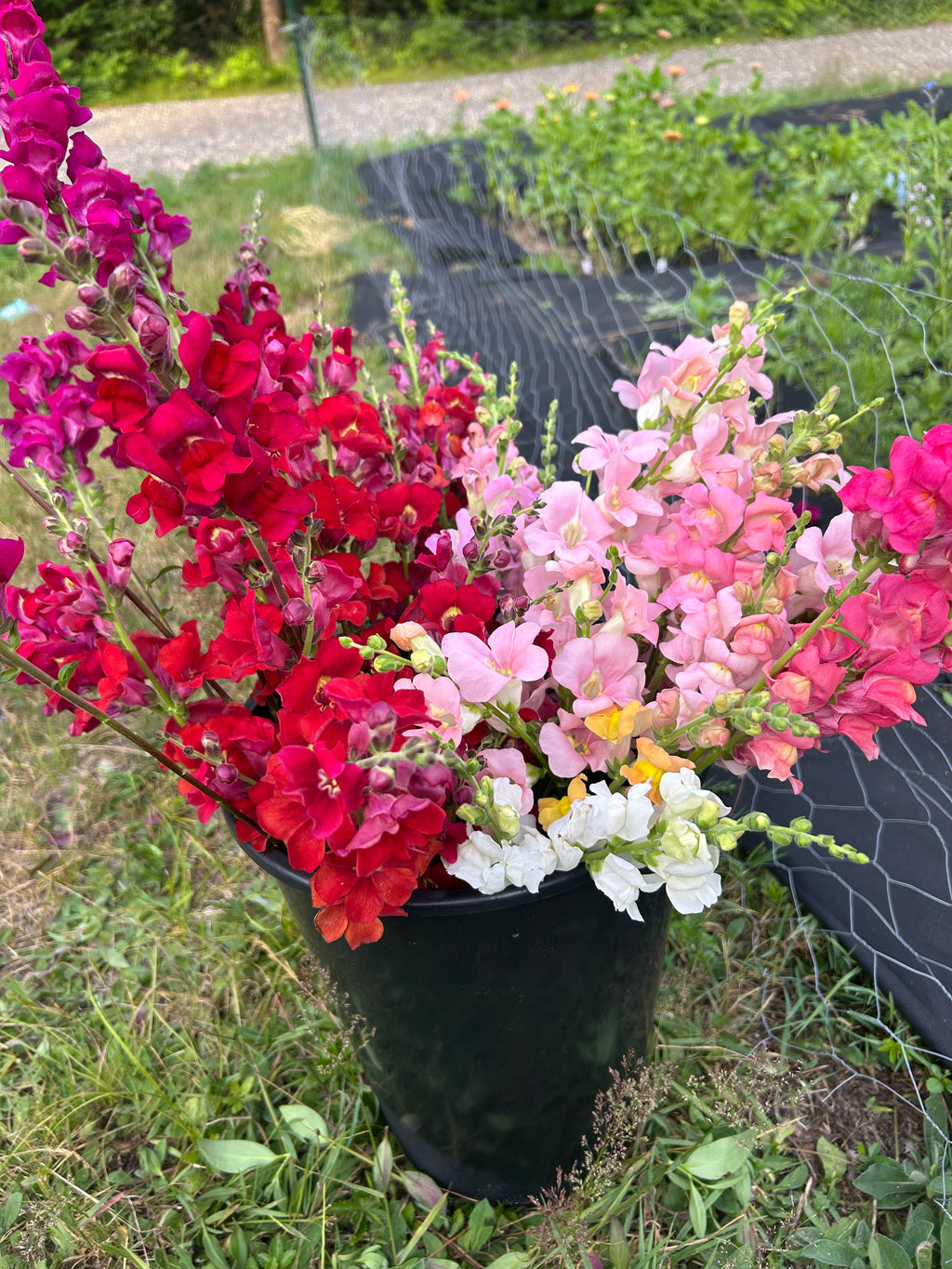 DIY flower bucket
