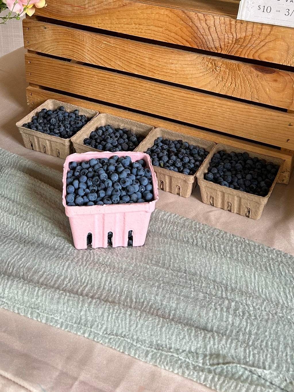 Wild Maine blueberries
