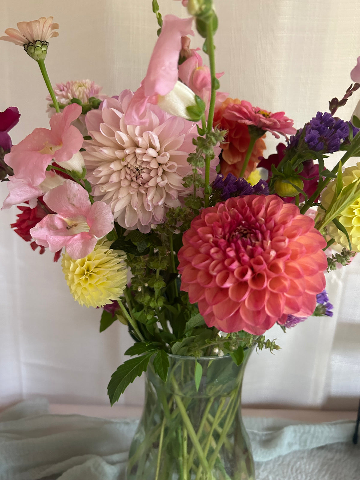 Snoho Doris