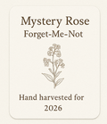 Mystery Rose Forget-Me-Not