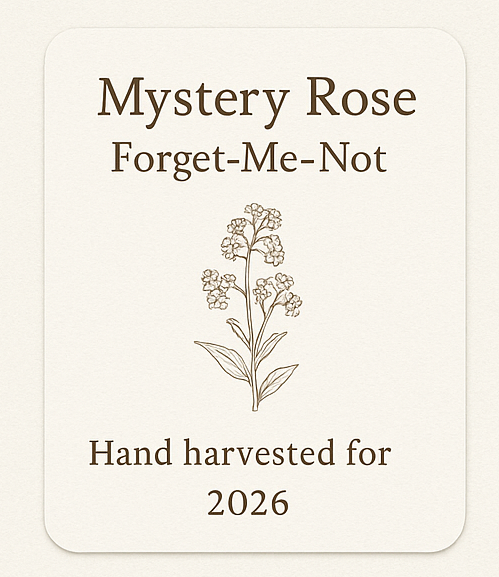 Mystery Rose Forget-Me-Not