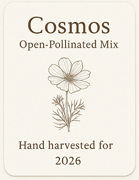 Cosmo Seeds
