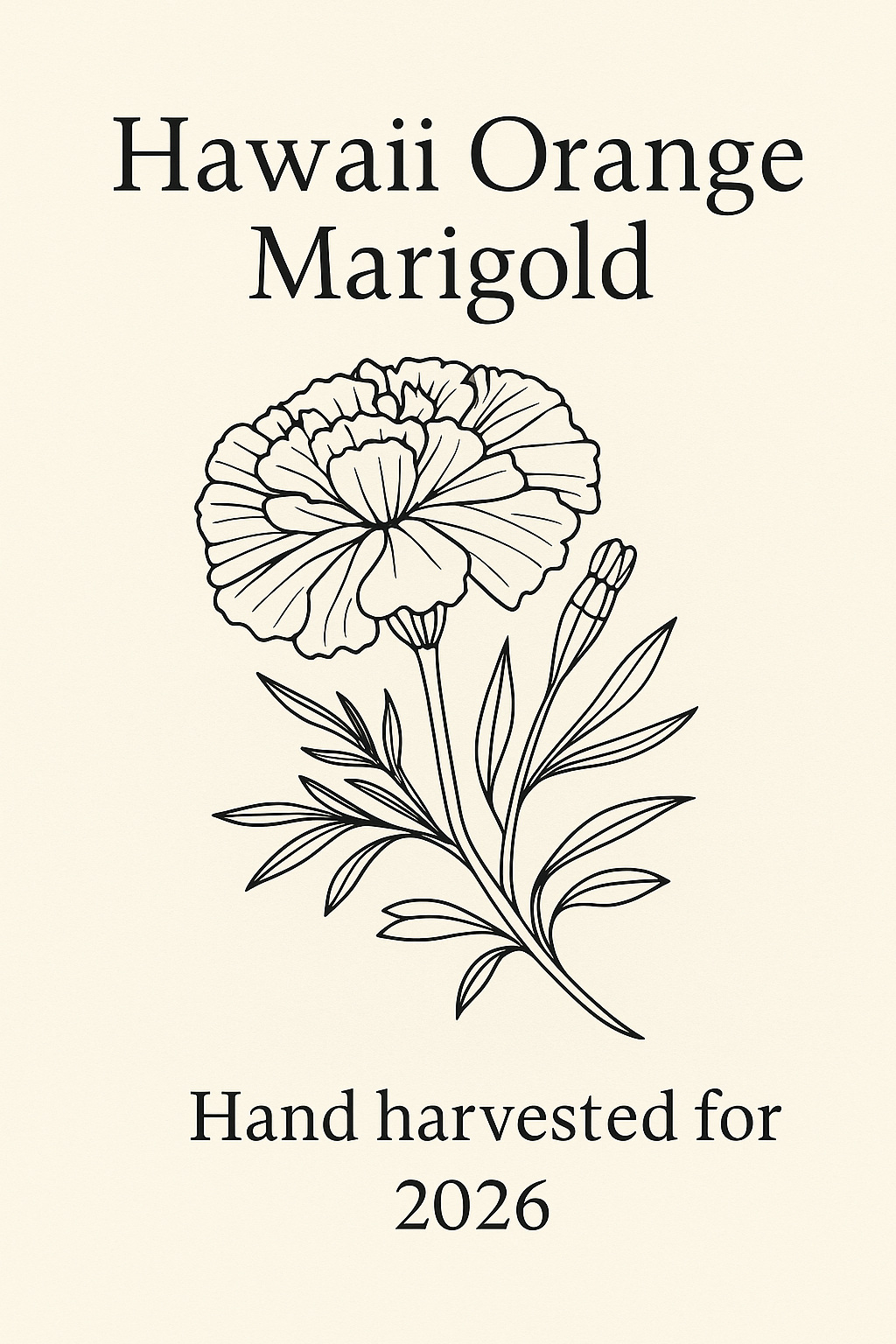 Hawaii Orange Marigold seeds